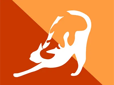 Cat-fish design graphic design illustration logo vector