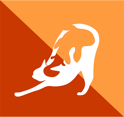 Cat-fish design graphic design illustration logo vector