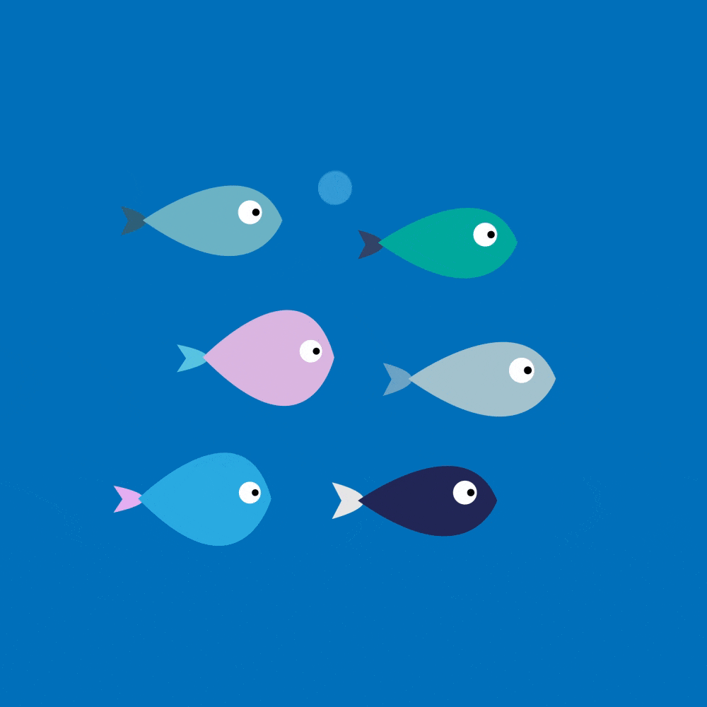 Plenty of fish in the sea animation design fish fishing gif graphic design illustration vector