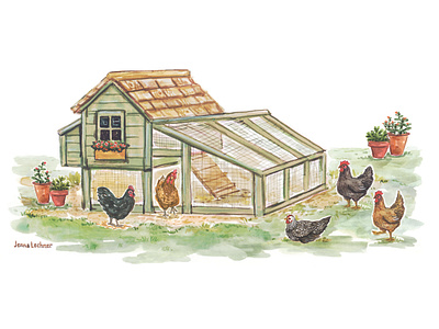 DIY Chicken Coop Watercolor illustration agriculture illustration chickens cottagecore diy illustration ecology illustration editiorial illustration farmlife handpainted home and garden home gardening portland illustrator sustainable illustration watercolor woodworking illustration