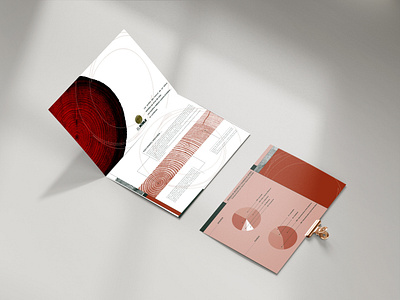 Seguros El Roble Brochure branding brochure corporate image graphic design vector