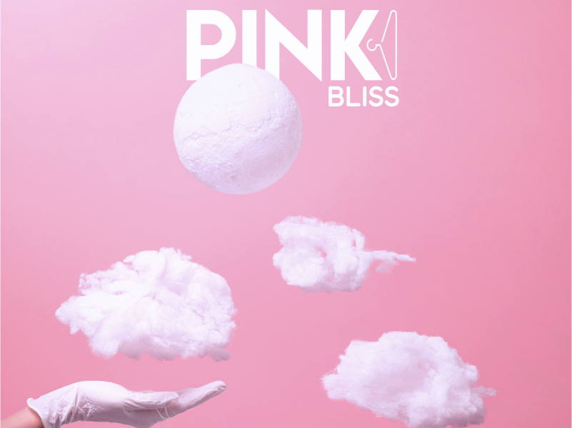 Pink Bliss logo design | Fashion Brand adobe beauty brand identity design branding design fashion feminine figma graphic design illustration logo logo design meta pink skincare ui vector