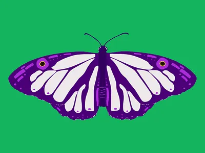 Butterfly animals butterfly design figma illustration insect