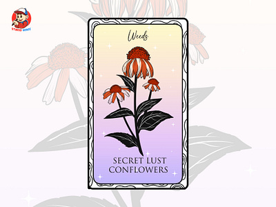 Secret Lust Conflowers Tarot Botanical conflowers secret vectorstyle