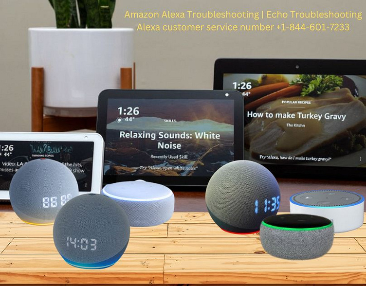 Amazon Alexa Troubleshooting by Smithjohn on Dribbble