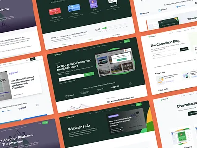 Chameleon.io Website Screens design ux web design