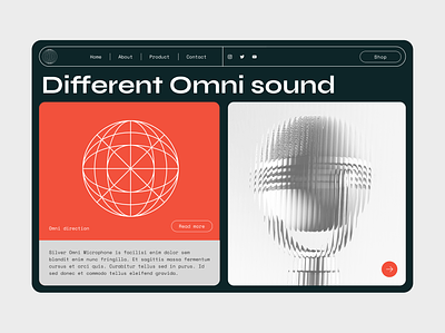 The web design concept for - sound and microphone design webdesign website