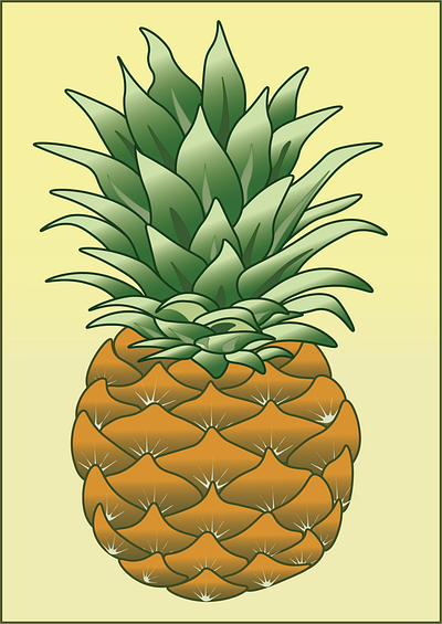 Pineapple design graphic design illustration vector