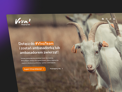 Foundation Viva - Web design animals branding foundation ui web design