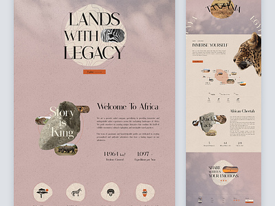 Nomad Tuk Tuk - Safari Tour africa animal clean design graphic design layout map minimalist safari tour travel ui uidesign web webdesign website