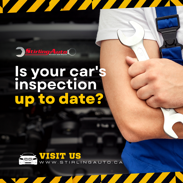 Oil Change Red Deer by Robert Burton on Dribbble