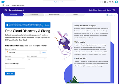 Discovery + Sizing Tool design product ux