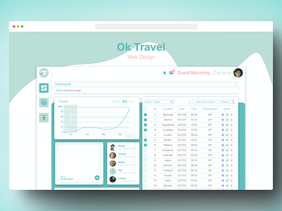 Ok Travel - Web Design graphic design ui web