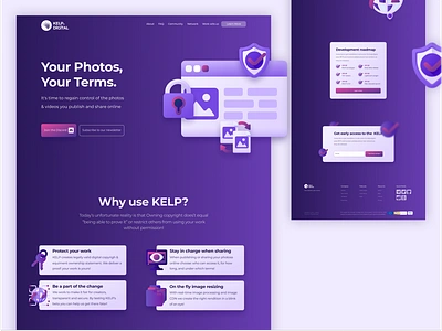 Kelp Digital | Landing Page 3d animation blockhain branding crypto development figma freelance front end interface landing nft nocode product saas service ui uiux uxrerearch webflow