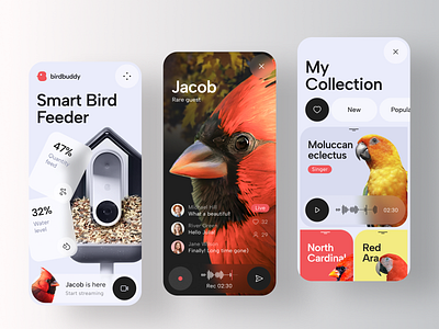 Bird Buddy - Smart Camera Bird Feeder app automation camera design home ios iot mobile smart uxdesign