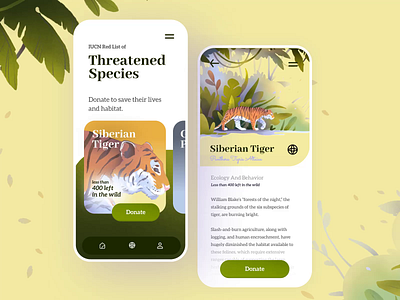 Siberian Tiger Day Concept animals architecture graphic design minimal mobile app motion graphics product product design summer tiger ui user interface vibes wildlife