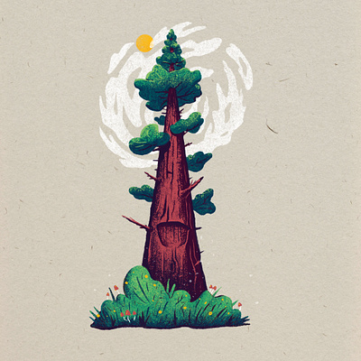 Sequoia design graphic design illustration procreate