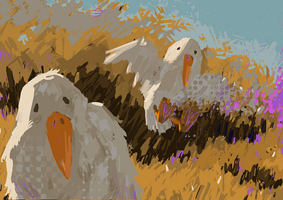 白鸟 illustration procreate 陽光 鸟