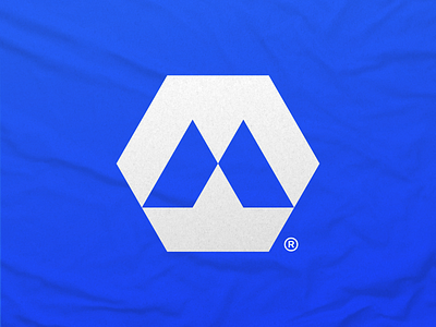 MobyBoat Logo Design blue branding design logo logo design modern simple unique