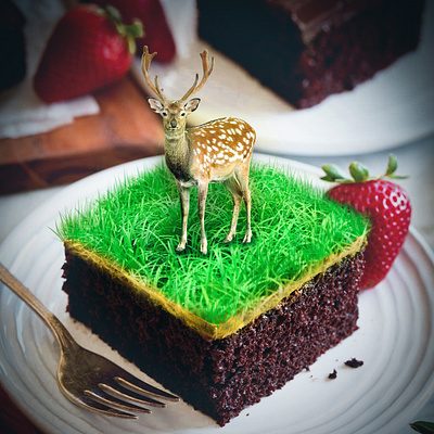 A slice of cake from a jungle artwork branding concept creative creativity design graphic graphic design illustration manipulation montage photo photomaniplation photoshop poster