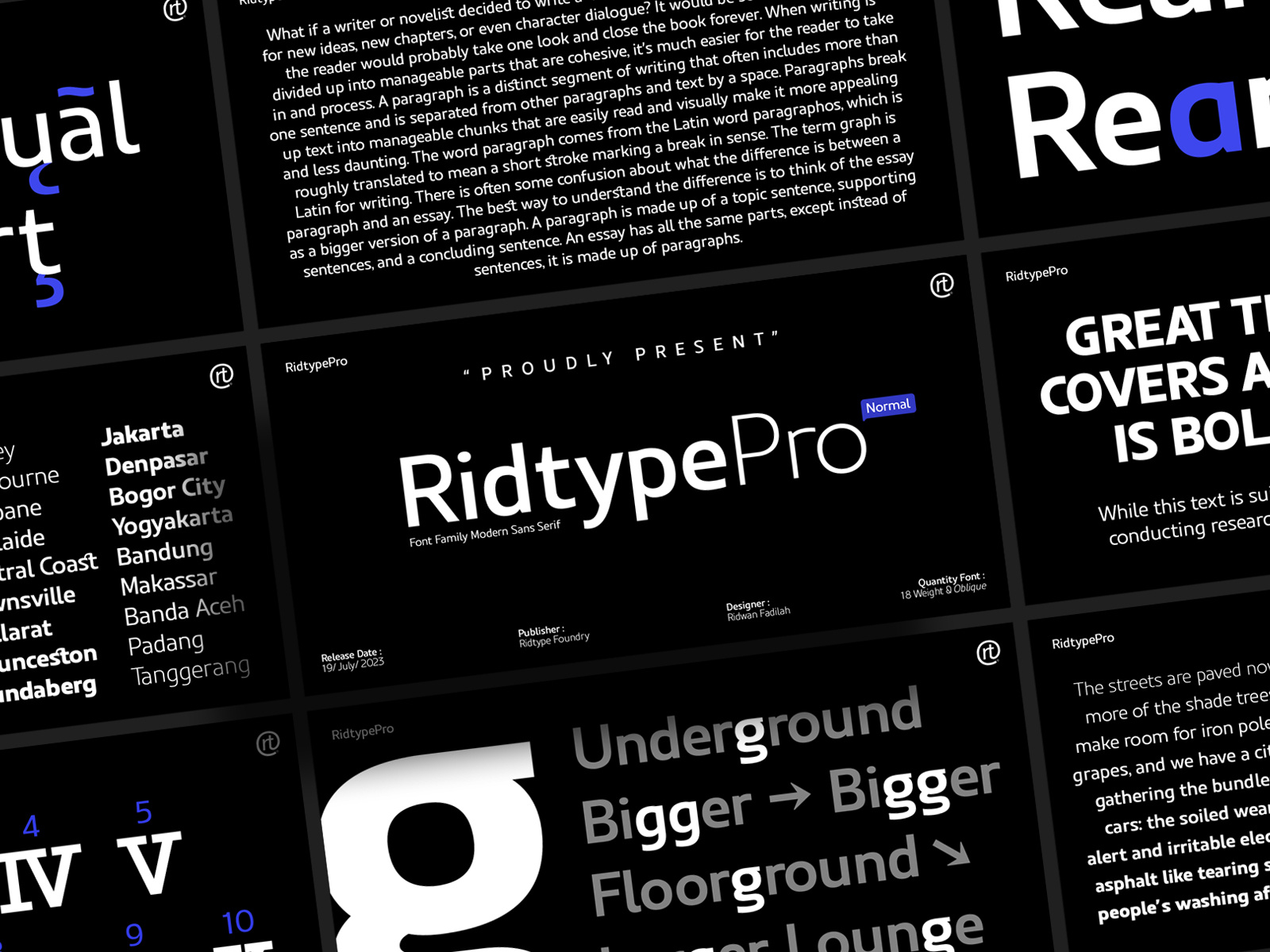 ridtype-pro-font-family-by-ridtype-foundry-on-dribbble