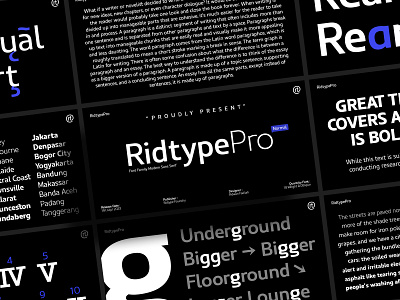 Ridtype Pro - Font Family classy elegant font font family free font graphic design modern multilingual font ridtype ridtype pro sans serif type design typeface typography