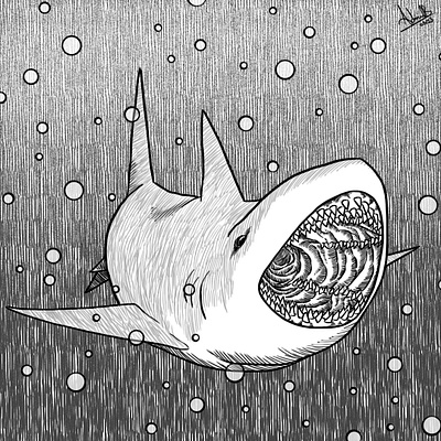 Deepness shark animal blackandwhite bnw creature creaturedesign digital illustration lineart monochrome shark underwater water