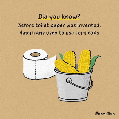 Before toilet paper was invented, Americans used to use corn cob americans cartoon corn did you know digital art digital illustration drawing fact fun fact illustration toilet toilet paper