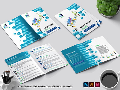 Investment infographic Brochure advertisement booklet branding brochure catalogue design digital flyer graphic design print ui