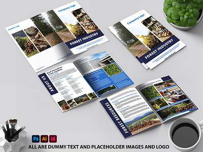 Industrial Brochure advertisement booklet branding brochure catalogue design digital flyer illustration print