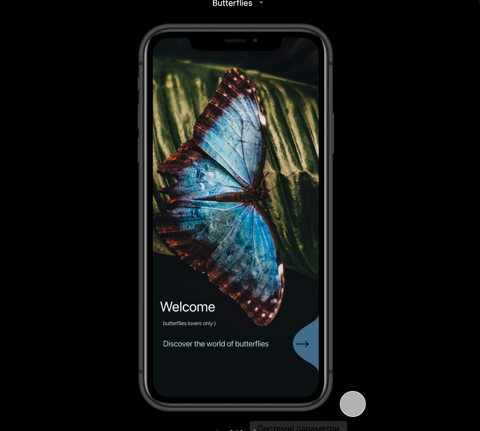 Butterfly lovers app butterfly dailyui discover mobile ui