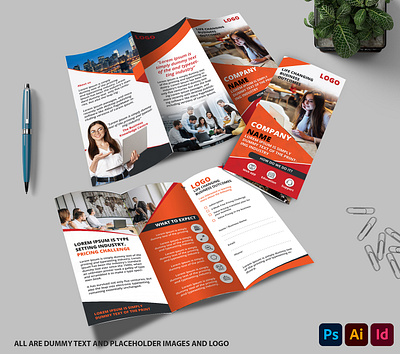 Trifold Brochure advertisement booklet branding brochure catalogue design digital flyer graphic design illustration print ui