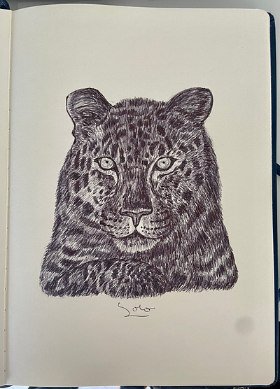 Ballpen Leopard 🐆 animal ba ballpen design drawing illustration leopard sketch society6