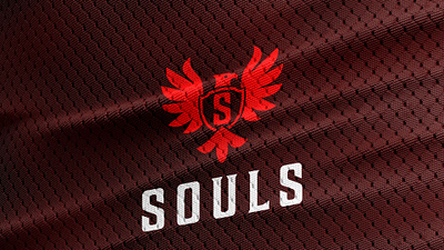 Souls Logo Design 3d animation app branding design graphic design illustration logo ui vector