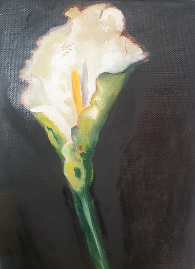 Fleur blanche illustration painting