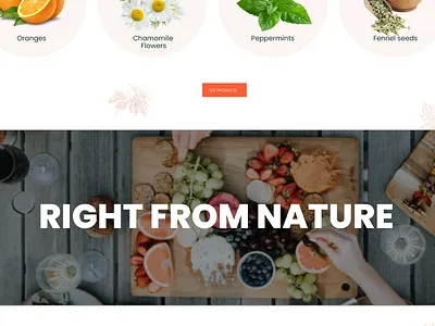 Website Homepage branding design graphic design illustration photoshop webdesign