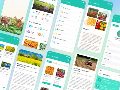 Crowd Funding Mobile App advice app branding crowd design figma finance graphic design investment mobile money service