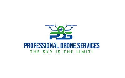 Professional Drone services logo design creative logo free logo logo logo design logo idea logo within 6 hours