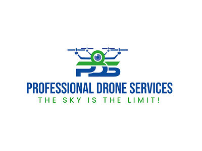 Professional Drone services logo design creative logo free logo logo logo design logo idea logo within 6 hours