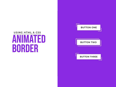 CSS Button Border Animation on Hover animation css css animation css buttons css3 divinectorweb frontend html html5