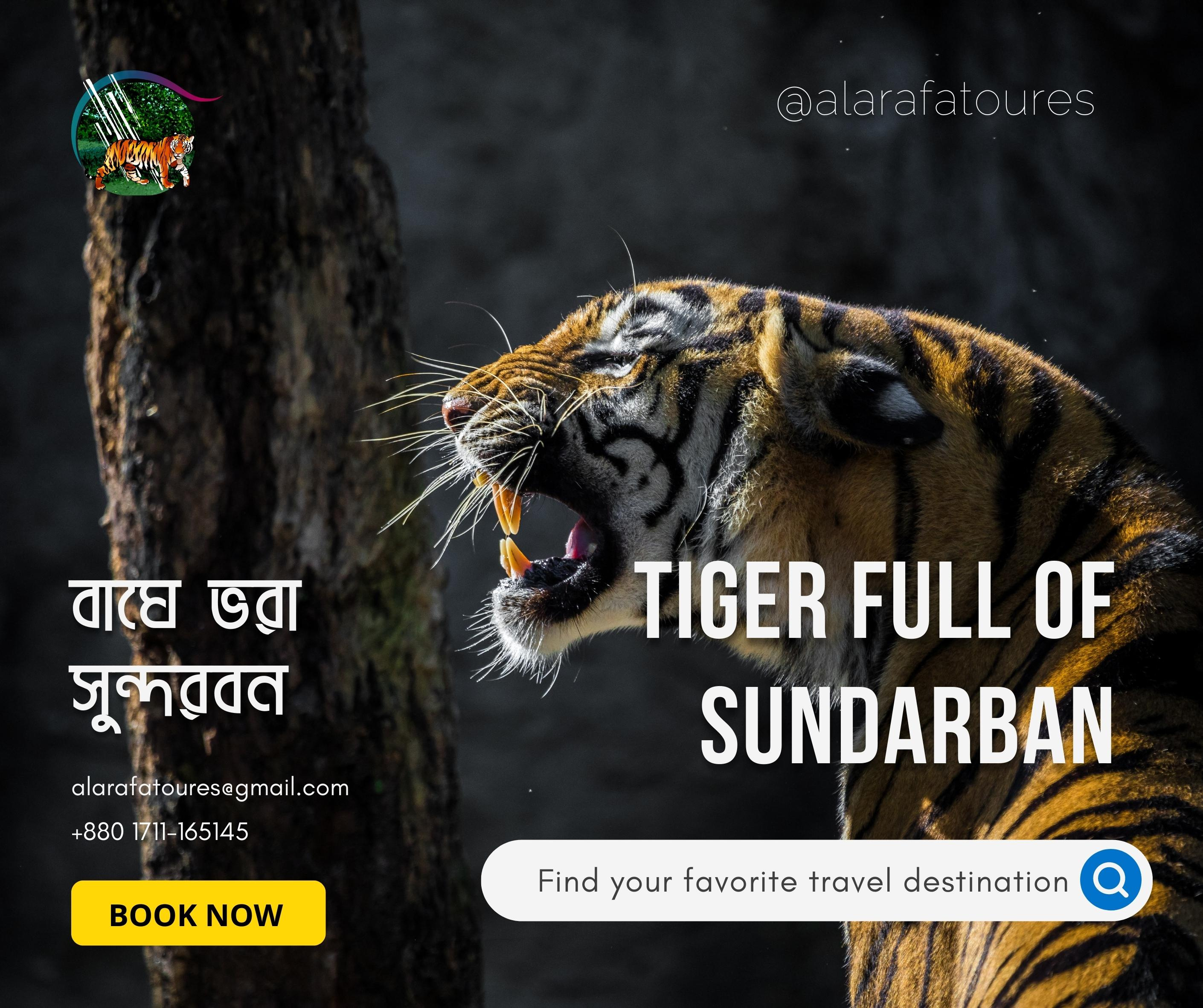 Tourism social media post (Client project 2022) 🐅 adobe bangladesh bd branding design designermanjur edit facebook graphic design illustration instagram logo photoshop poster social media post tiger tour ui