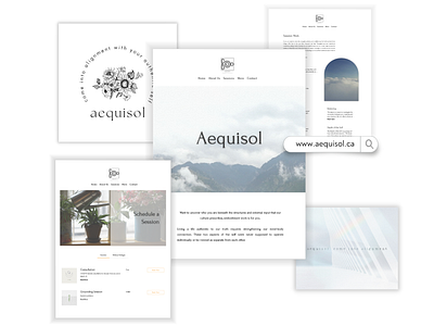 Aequisol Website Design brand brand identity branding copywriting design designer graphic design logo orange presentation print design ui ux web design website