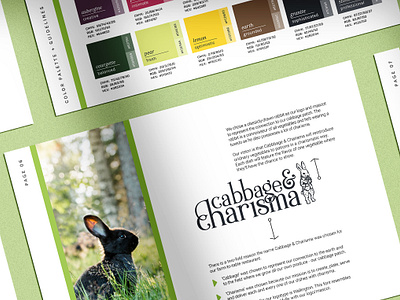 Cabbage & Charisma Brand Guidelines brand design brand development brand guidelines brand palette branding design graphic design layout design logo logo design logo guidelines logo illustration typography typography hierarchy vector