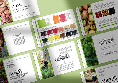 Cabbage & Charisma Brand Guidelines brand design brand development brand guidelines brand palette branding design graphic design layout design logo logo design logo guidelines logo illustration typography typography hierarchy vector