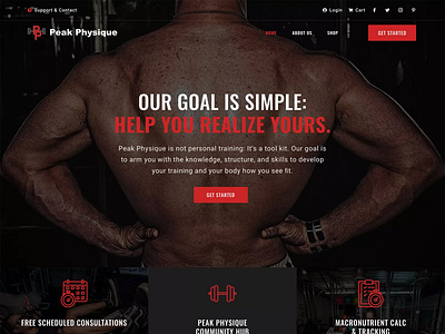 Website Design for Peak Physique web design website design website development