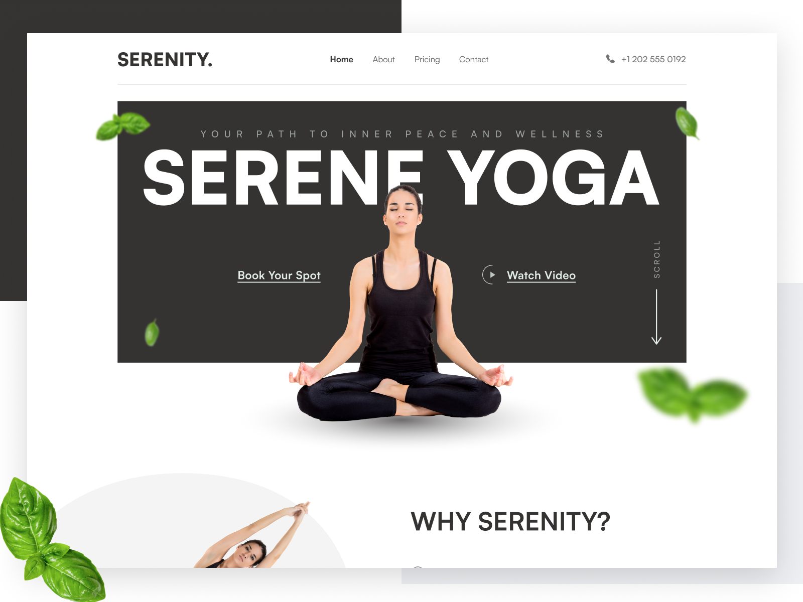 Example of Landing Page Design
