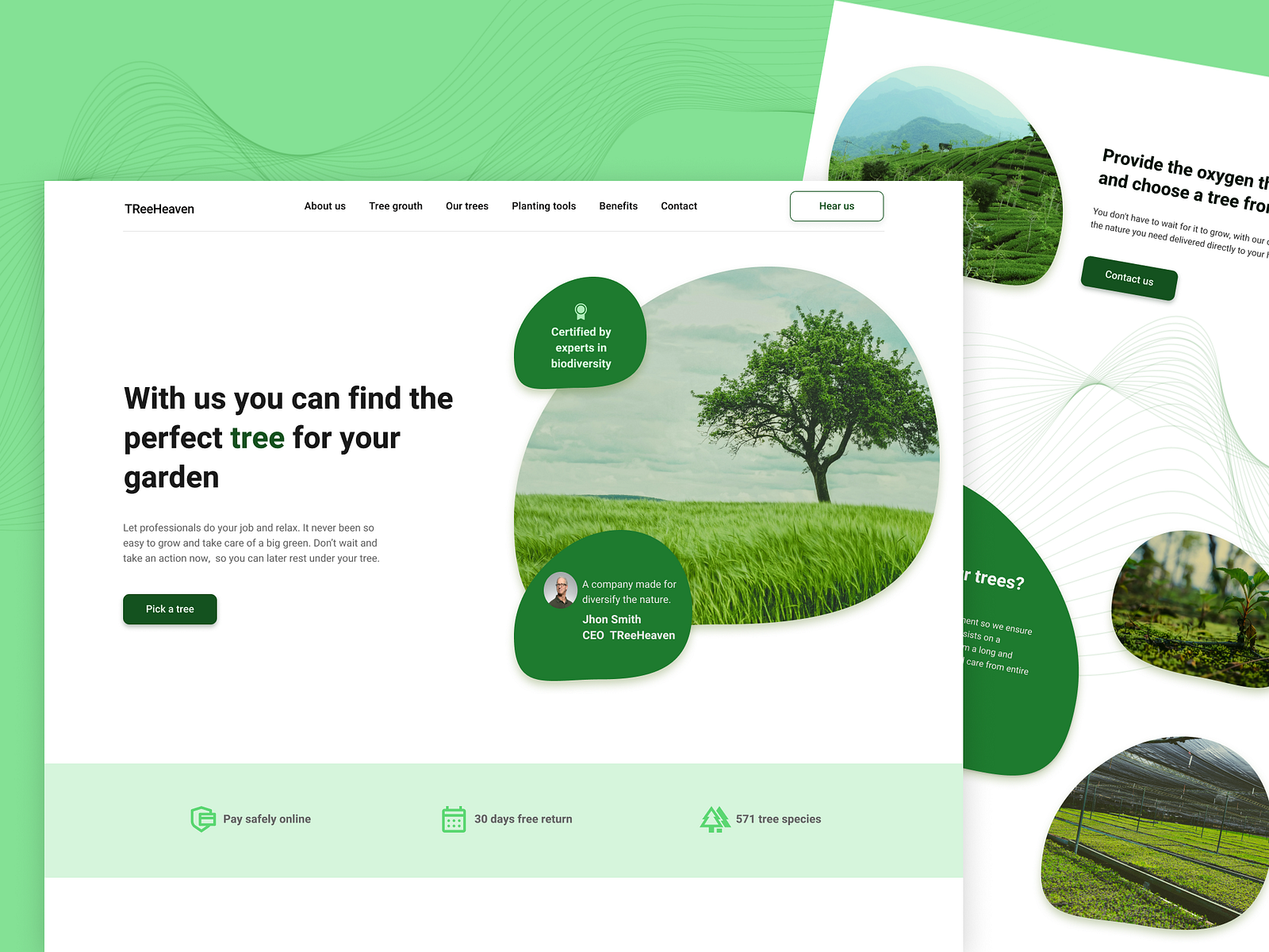 Nature shop | Landing page design by Ștefănescu Maria on Dribbble