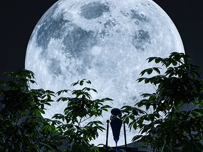 MoonBase 3Dart 3d graphic design motion graphics