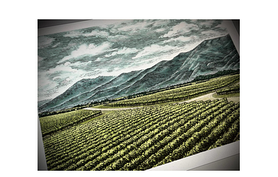 Vinafore Marlborough Wine Label by Steven Noble artwork design engraving etching illustration ink landscape line art logo scratchboard steven noble woodcut