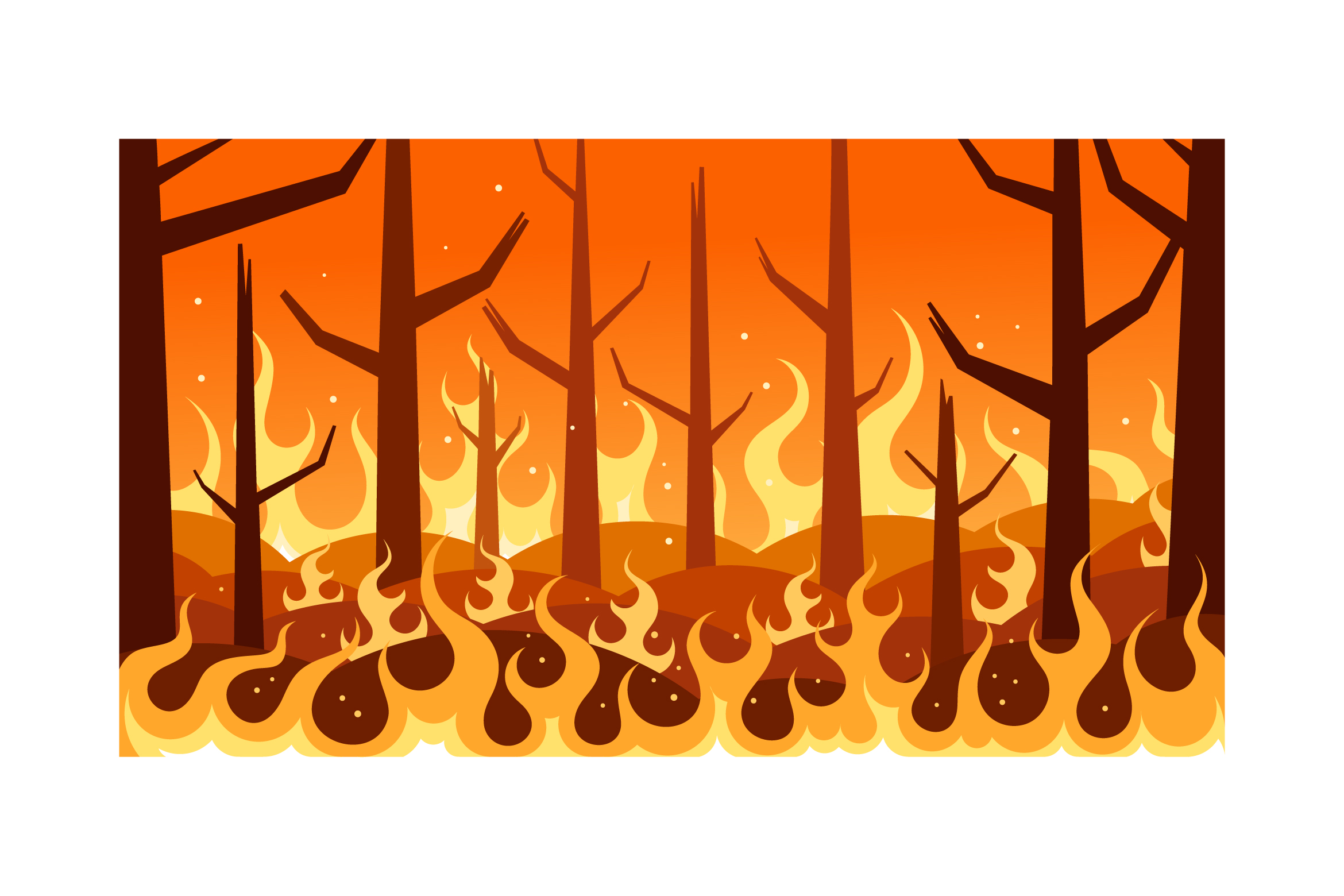 Drawing Forest Fire Stock Photos and Images - 123RF